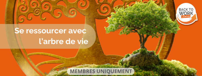 Se ressourcer avec l&rsquo;arbre de vie